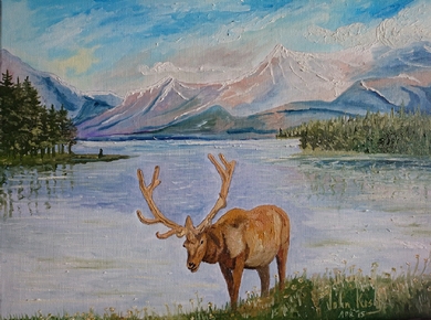 Elk at Maligne Lake